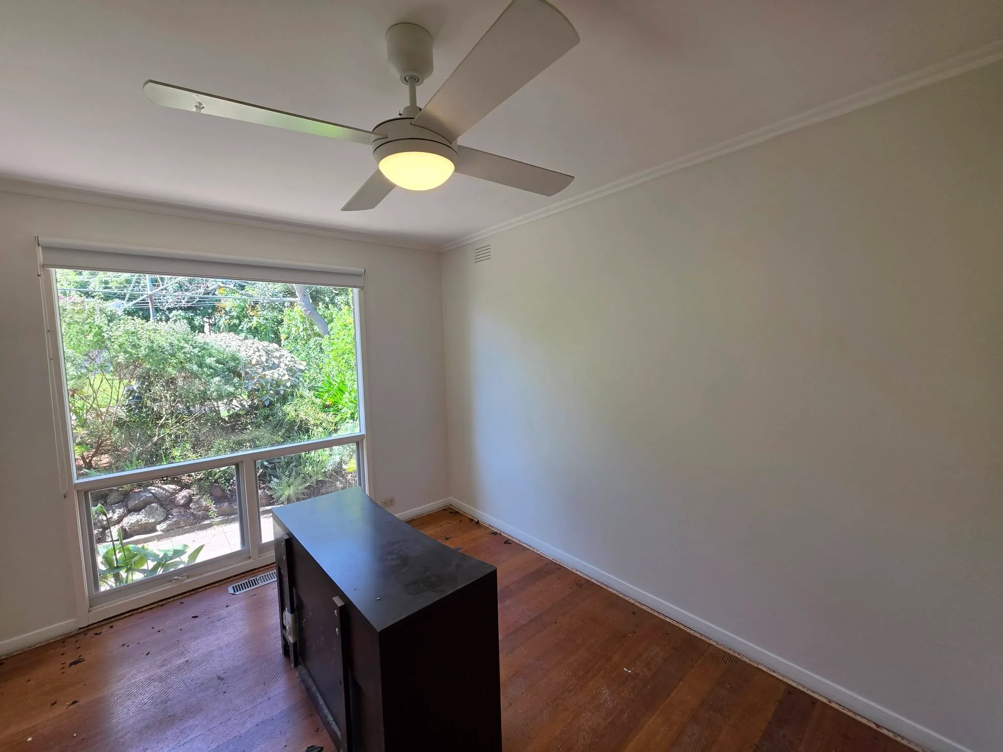 Freshly painted white room with ceiling fan, timber floor and large window